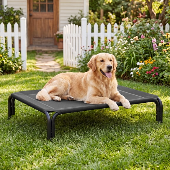 Cooling Elevated Dog Bed Raised Outdoor Dog Cot for Extra Large Dogs, No-Tool Assembly Washable Mesh, 49"x36" Black
