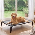 thumbnail image 1 of Cooling Elevated Dog Bed Raised Outdoor Dog Cot for Extra Large Dogs, No-Tool Assembly Washable Mesh, 49"x36" Gray, 1 of 9