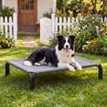 thumbnail image 1 of Cooling Elevated Dog Bed Raised Outdoor Dog Cot for Large Dogs, No-Tool Assembly Washable Mesh, 43"x32" Gray, 1 of 10