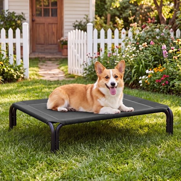 Cooling Elevated Dog Bed Raised Outdoor Dog Cot for Medium Dogs, No-Tool Assembly Washable Mesh,35"x25" Black