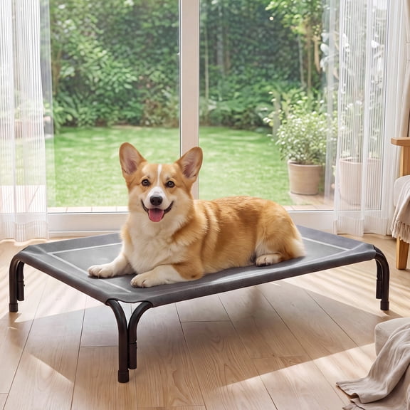 Cooling Elevated Dog Bed Raised Outdoor Dog Cot for Medium Dogs, No-Tool Assembly Washable Mesh,35"x25" Gray