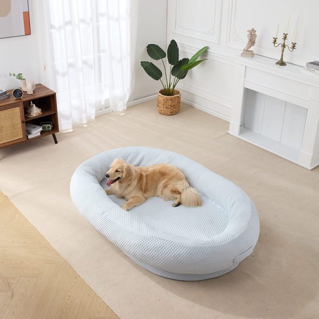 Cooling Human Dog Bed Bean Bag Bed for Humans Giant Beanbag Dog Bed