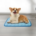 thumbnail image 1 of Cooling Pad for Dog, Dog Ice Silk Mat Summer Pet Mat Sleeping Mat Cooller Lce Mat, Pet Cooling Mats for Dogs(S,Blue, 19.7x12in), 1 of 7