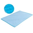 thumbnail image 1 of Cooling Pet Mat: Breathable, Non-Slip Ice Silk Pad for Hot Summer Days!, 1 of 10