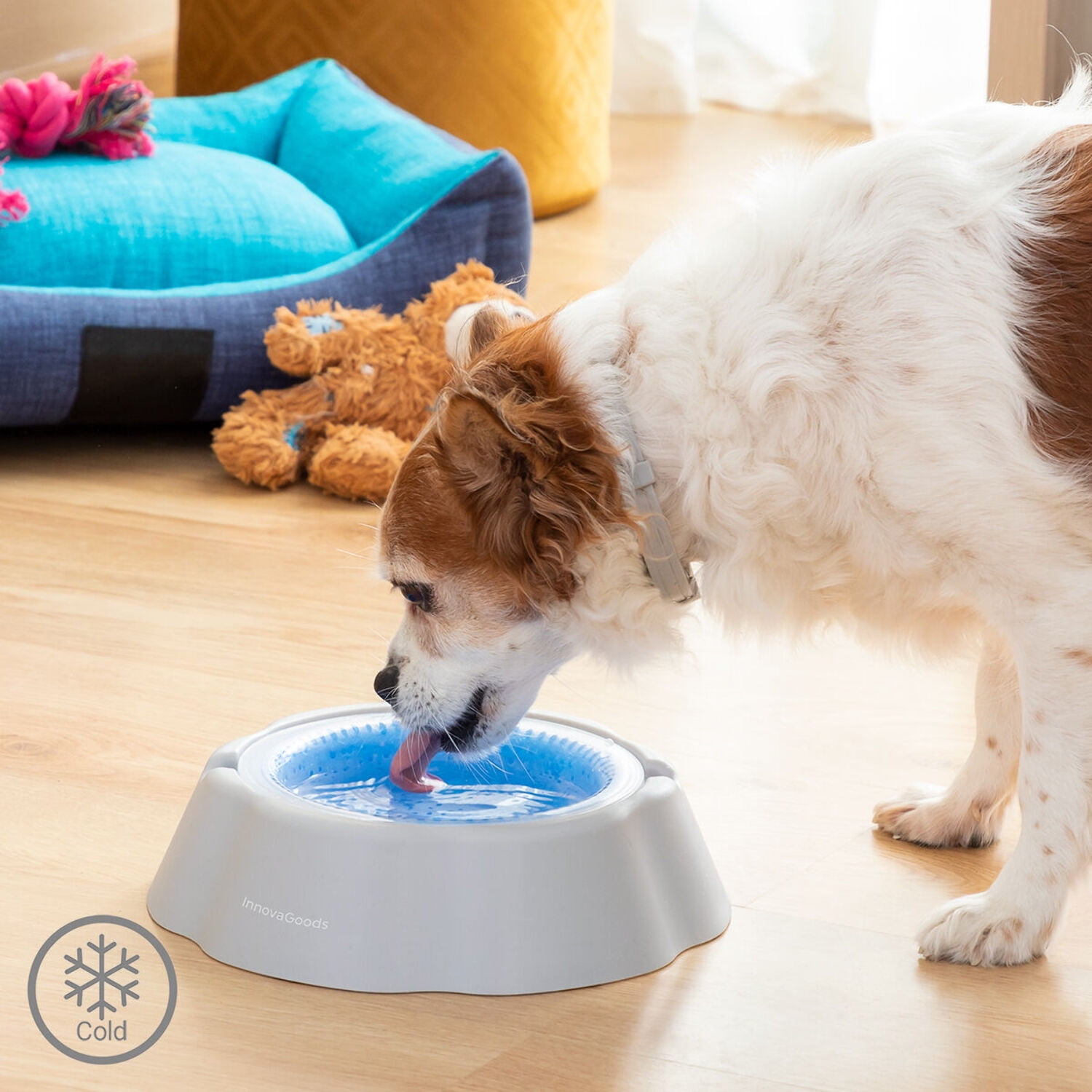 Cooling dog water bowl discount