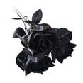 thumbnail image 1 of Coollooc 3 PCS Artificial Flowers Black Roses, Fake Silk Flower Long Stem Artificial Rose for Halloween Home Wedding Party Decorations(A), 1 of 8