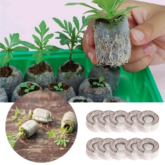 Coollooc 30mm 10Pcs Compressed Peat Pellet Fiber Soil Plant Seed Starters - Nursery Plugs Pallet Seedling Soil Block for Grow Herbs Plant Flowers Vegetables