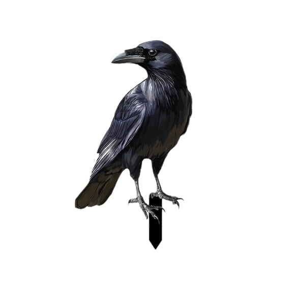 Coollooc Black Halloween Crow Decor, Realistic Crow Raven Decoration Indoor Outdoor Decor Fake Ravens Prop Haunted House Graveyard Cemetery Yard Table Party Favors Desk Trees Walls Windows(B)
