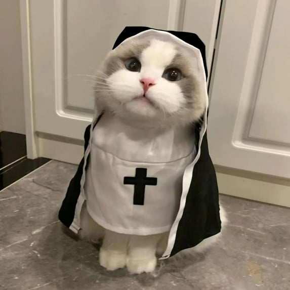 Coollooc Cat Nun Dress- Funny Halloween Cloak Outfit for Small Medium Dogs, Cosplay Apparel for Photoshoots Parties Social Media, Adorable Pet Clothing(M)