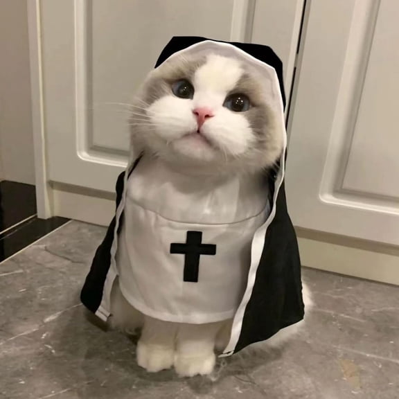 Coollooc Cat Costume Nun Dress- Funny Halloween Cloak Outfit for Small Medium Dogs, Cosplay Apparel for Photoshoots Parties Social Media, Adorable Pet Clothing(S)