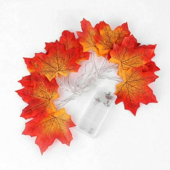Coollooc Fall Decorations Thanksgiving String Lights for Outside Battery Operated, Total 4.9ft 10 LED Fall Maple Leaves Garland with Light Outdoor for Porch Window Halloween Autumn Thanksgiving Decor
