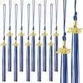 thumbnail image 1 of Coollooc Graduation Hat Tassel Set for Graduation Ceremonies, 2025 Graduation Tassels for Students and Graduates Academic Achievement Symbol Graduation Hat Decorations, Memorable Graduation Day(E), 1 of 1