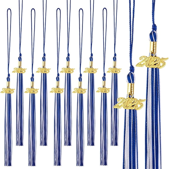 Coollooc Graduation Hat Tassel Set for Graduation Ceremonies, 2025 Graduation Tassels for Students and Graduates Academic Achievement Symbol Graduation Hat Decorations, Memorable Graduation Day(E)