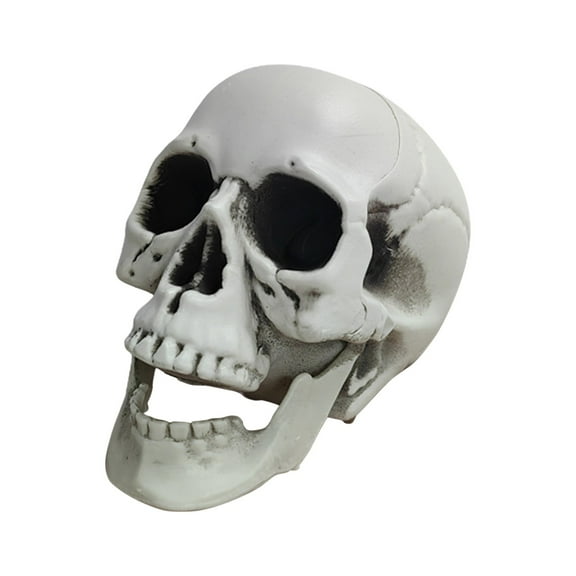 Coollooc Halloween Skull Ornament, Skeleton Perfect for Indoor and Outdoor Decorations, Artificial Skull Ornaments Scary Skull Ghost House Party Supplies, Realistic Human Skeleton Skull Replica