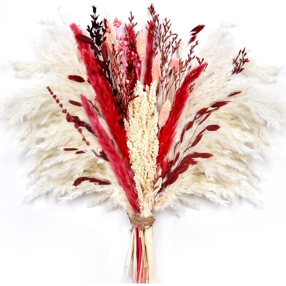 Coolmade 17 Inch Natural Dried Flowers Pampas Grass Bouquet, Boho Table Decor, White & Red Pampas Grass, Dried Flower Arrangement for Home Decorations