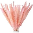 thumbnail image 1 of Coolmade 45-Piece, 17" Earth Cocoa Pink Boho Decor for Dried Pampas Grass, 1 of 7