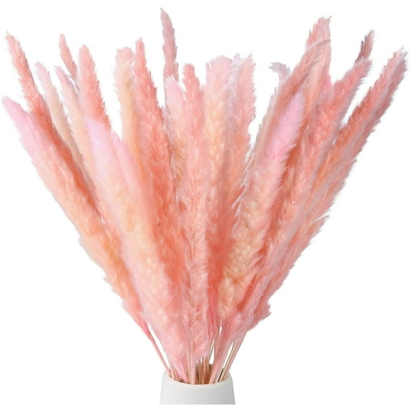 Coolmade 45-Piece, 17" Earth Cocoa Pink Boho Decor for Dried Pampas Grass