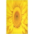 thumbnail image 1 of Coolnut 1 Pack Sunflower Kitchen Towels Highly Absorbent, Super Soft Dishcloths 18 x 28 Inches Reusable Quick Drying Tea Towels Set for Home,Kitchen Decor Wash cloth, 1 of 7