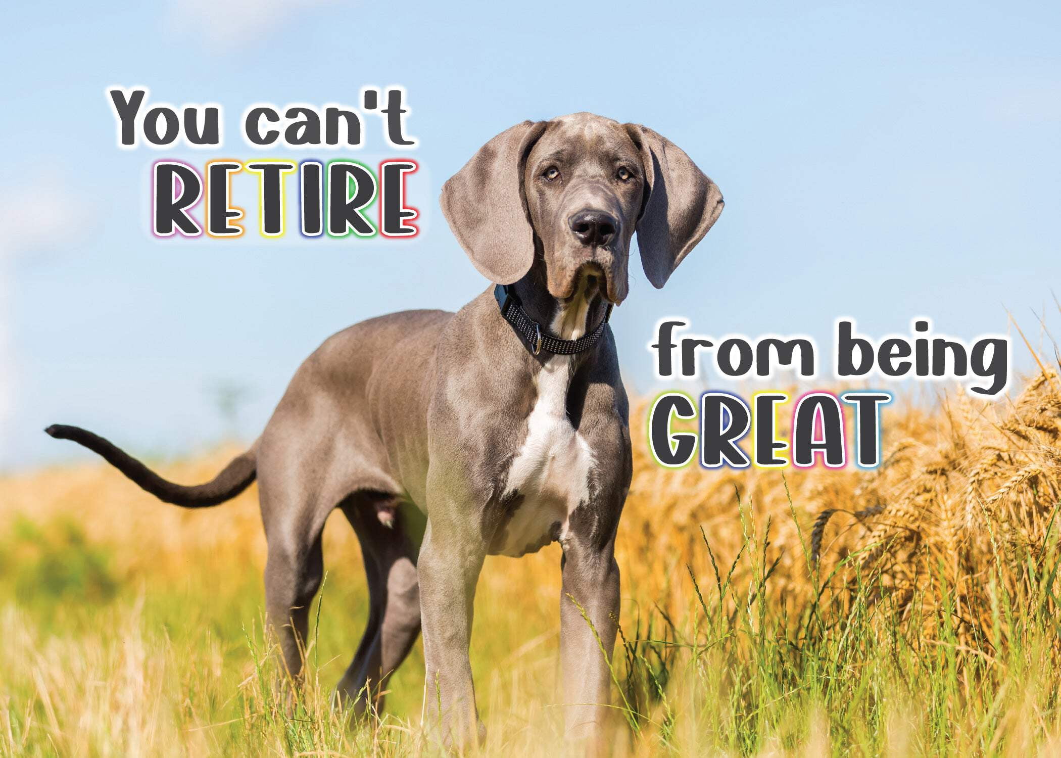 You Can't Retire From Being Great so be great at Retirement ...
