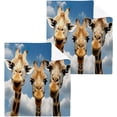 thumbnail image 1 of Coolnut 2 Pack Funny Giraffes Pure Cotton Washcloths 12 x 12 Inch Reusable Absorbent Soft Cotton Face Towels Fingertip Towels Set for Gym Towels,Hotel and Spa Wash cloth, 1 of 7