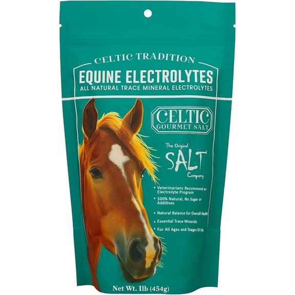 Celtic Tradition Equine Electrolytes – Natural Mineral Salt Supplement for Horses | Replenishes Electrolytes, Supports Hydration & Recovery | 1 lb Resealable Bag