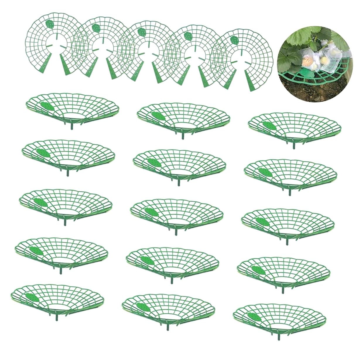 Coolnut 20 PCS Strawberry Supports, Strawberry Plant Holder with 3 ...