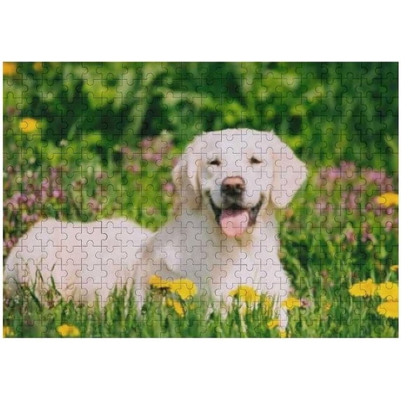 Coolnut 500 PCS Jigsaw Puzzles, Artwork Gift for Adults Teens Happy Labrador Retriever Sitting in Dandelions Field Wooden Puzzle Games, 20.5" x 14.9" 500 Pieces