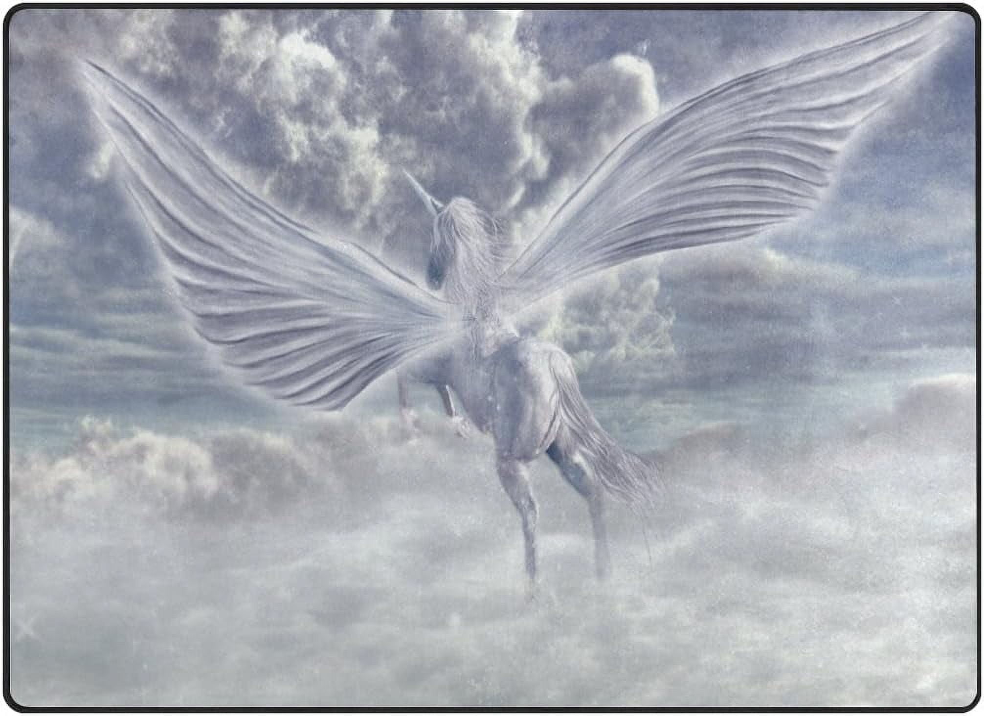 Coolnut 80 x 58 inches Lightweight Soft Area Rug Mat Indoor Floor Rugs