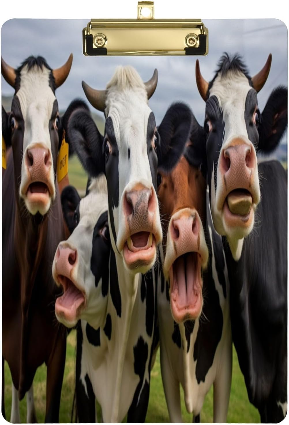 Coolnut Acrylic Clipboards with Low Profile Clip, A4 Standard Size 9" x