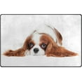 thumbnail image 1 of Coolnut Area Rug 60 x 39 inch (5'x 3'3"), Carpet Cavalier King Charles Spaniel Dog Nursery Rug Floor Mat for Hardwood Floor Entrance Living Room Bedroom, 1 of 6