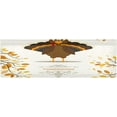 thumbnail image 1 of Coolnut Autumn Thanksgiving Turkey Valance Curtains for Kitchen or Bathroom,Valances Window Treatment Rod Pocket Drape 54x18inch Light Filtering Living Room Bedroom Decor186, 1 of 6