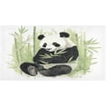 thumbnail image 1 of Coolnut Bath Mat, Soft Absorbent Bath Rug, Cute Panda Bath Mats for Bathroom, Living Room Bedroom Home Floor Mat, Bath Mat for Tub Non Slip 20 x 39 Inch Home Decor, 1 of 7