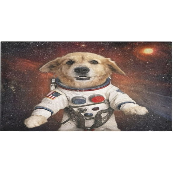 Coolnut Bath Mat, Soft Absorbent Bath Rug, Space Dog Bath Mats for Bathroom, Living Room Bedroom Home Floor Mat, Bath Mat for Tub Non Slip 20 x 39 Inch Home Decor