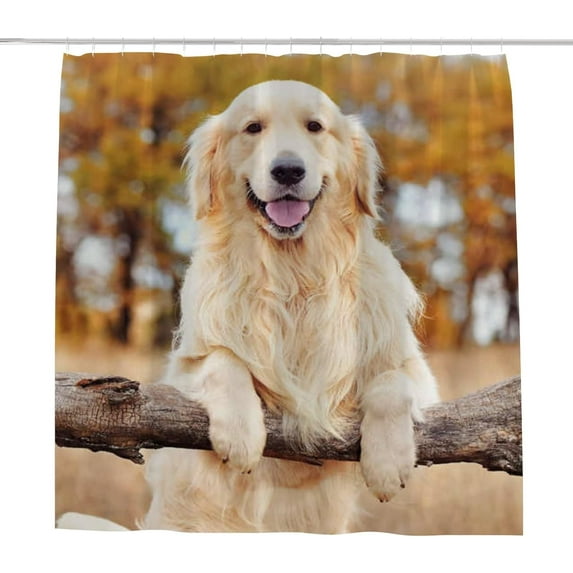 Coolnut Bath Shower Curtain Liners Golden Retriever Standing by a Rural Fence 66x72in Polyester Waterproof with 12 Curtain Hooks