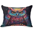 thumbnail image 1 of Coolnut Beautiful Owl Plush Pillow Case, Zippered Bed Pillow Pillowcases, Super Soft and Cozy Pillowcase Covers for Sleep Decor Giftsation - Queen Size 20x30in, 1 of 7