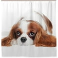 thumbnail image 1 of Coolnut Cavalier King Charles Spaniel Dog Bath Shower Curtain Liners 72"x72", 100% Polyester Waterproof with C-Shaped Curtain Hook Modern Bathroom Decoration 1 Panel, 1 of 5