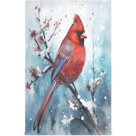 Coolnut Christmas Bird Kitchen Towels, 18 x 28 Inch Super Soft and Absorbent Dish Cloths for Washing Dishes, 1 PCS Reusable Multi-Purpose Microfiber Hand Towels for Kitchen