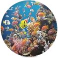 thumbnail image 1 of Coolnut Colorful Fishes Round Placemats Washable Placemats Non-Slip Heat-Resistant Table Place Mats for Dining Kitchen Holiday Party Table 15.4"-6PCS Home Decor, 1 of 7