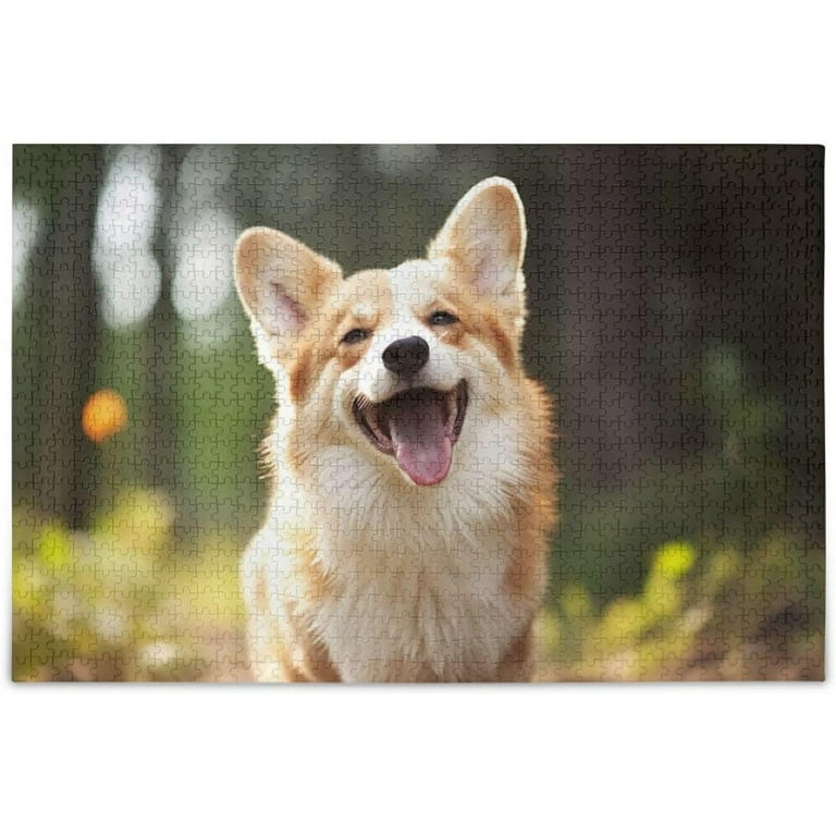 Corgi dog gifts cheap