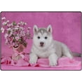 thumbnail image 1 of Coolnut Cute Siberian Husky Puppy with Flower Lightweight Carpet Mats, 5'3" x 4' Area Soft Rugs, Floor Mat Rug Home Decoration for Kids Room Living Room, 63"x 48", 1 of 6