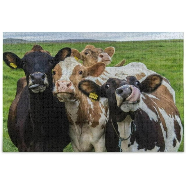 Coolnut Four Interesting Cows Wooden Jigsaw Puzzles, 20.5" x 14.9