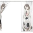 thumbnail image 1 of Coolnut Funny Puppy Holding A Soccer Ball Semi Sheer Curtains Window Voile Drapes Panels Treatment-55x78in for Living Room Bedroom Kids Room, 2 Pieces, 1 of 3