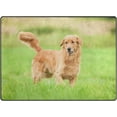 thumbnail image 1 of Coolnut Golden Retriever Running On Grass Lightweight Carpet Mats, 5'3" x 4' Area Soft Rugs, Floor Mat Rug Home Decoration for Kids Room Living Room, 63"x 48", 1 of 6