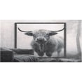 thumbnail image 1 of Coolnut Highland Cow Bathroom Rug Mat Ultra Soft Non Slip and Absorbent Plush Rugs Washable Quick Dry Bath Rugs 39 x 20 Inches Home Decor, 1 of 7