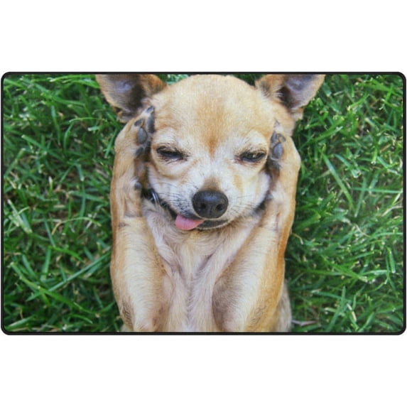 Coolnut Lightweight Carpet Mats, 31 x 20 inches Area Soft Rugs Floor Mat Doormat Decoration for Rooms Entrance Cute Dog with Paws On His Head