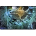 thumbnail image 1 of Coolnut Lightweight Carpet Mats, 31 x 20 inches Area Soft Rugs Floor Mat Doormat Decoration for Rooms Entrance Dolphin On Abstract Background, 1 of 6
