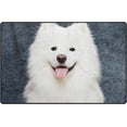 thumbnail image 1 of Coolnut Lightweight Carpet Mats, 31 x 20 inches Area Soft Rugs Floor Mat Doormat Decoration for Rooms Entrance Samoyed Dog Sitting, 1 of 6