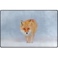 thumbnail image 1 of Coolnut Lightweight Non Slip Carpet Mats 60 x 39 inch (5'x 3'3"), Area Soft Rugs Floor Mat Rug Decoration for Kids Room Living Room Red Fox in Cold Winter, 1 of 6