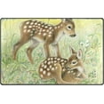 thumbnail image 1 of Coolnut Lightweight Soft Area Rugs 60 x 39 inch (5'x 3'3"), Bamby in The Flower Field Floor Mat for Kids Playing Room Hardwood Floor Living Room Nursery Rugs, 1 of 6