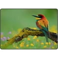 thumbnail image 1 of Coolnut Lightweight Soft Area Rugs 60 x 39 inch (5'x 3'3"), Beautiful Bird Natural Landscape Floor Mat for Kids Playing Room Hardwood Floor Living Room Nursery Rugs, 1 of 6